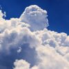 Thumbnail of new posts 154